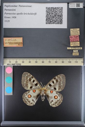 Media type: image;   Entomology 97285